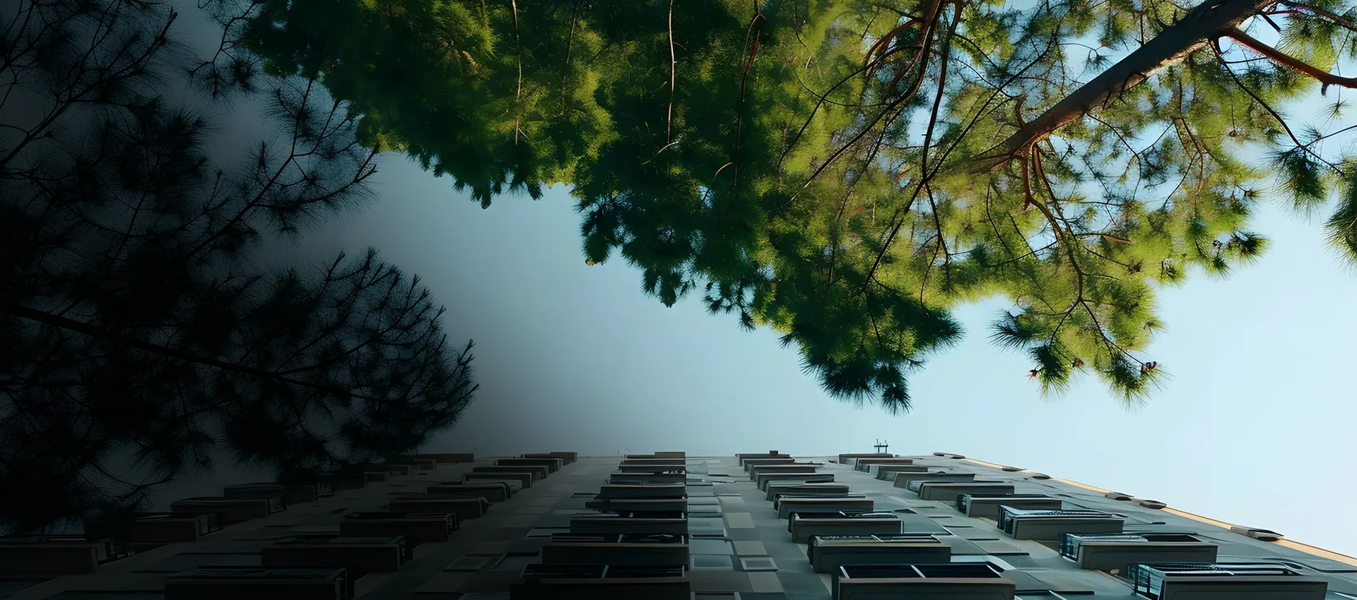 Decarbonization
